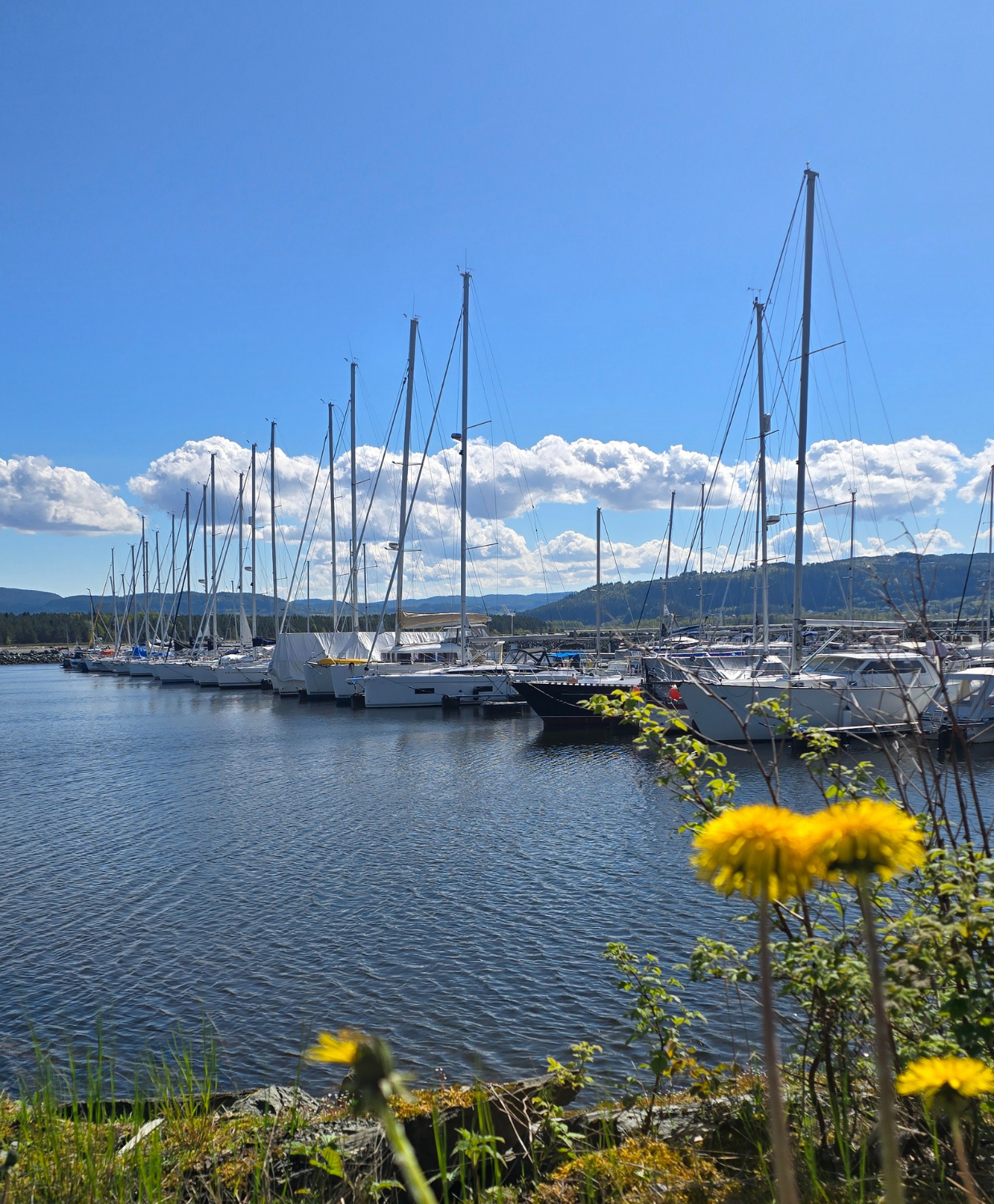 Brygge C